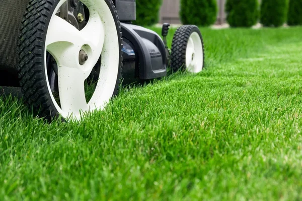 depositphotos_76306161-stock-photo-lawn-mower.webp